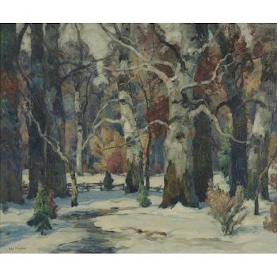 Sunlight Glades by John Fabian Carlson