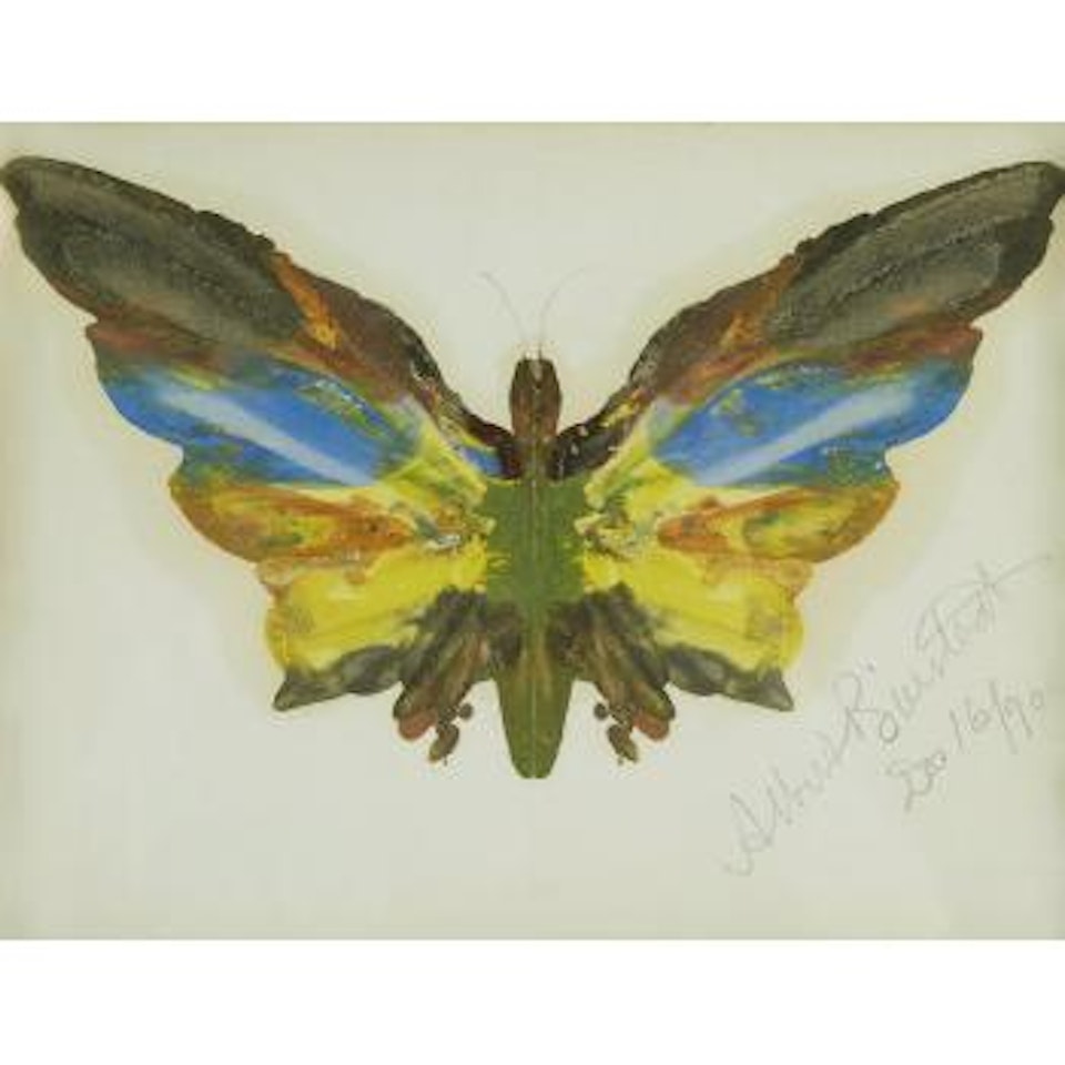 Butterfly by Albert Bierstadt