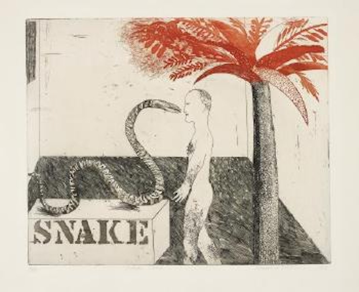 Jungle Boy by David Hockney