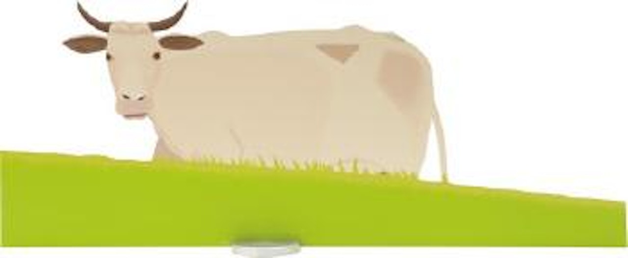 Cow (small; cutout edition) by Alex Katz