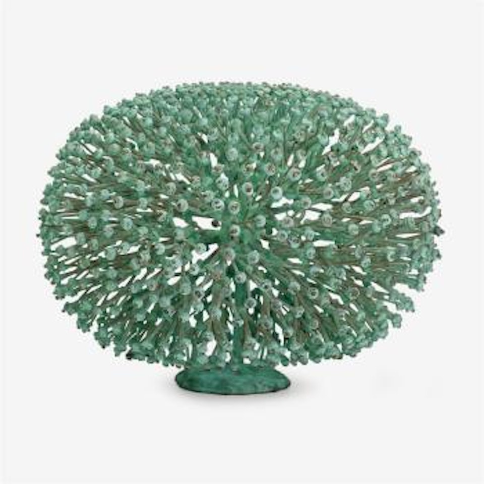 Bush by Harry Bertoia