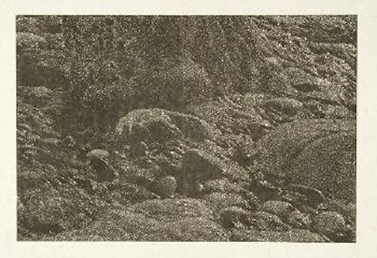 Cima del Mar (Detail) by Franz Gertsch