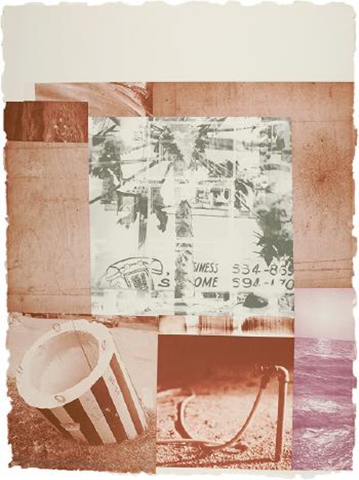 Gray Garden by Robert Rauschenberg