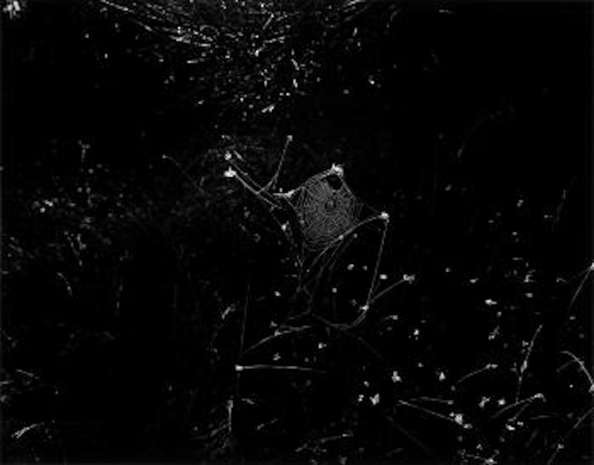 Aix-en-provence, France by Harry Callahan