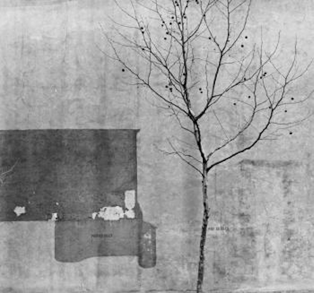 Tree And Wall, Philadelphia by Arnold Newman