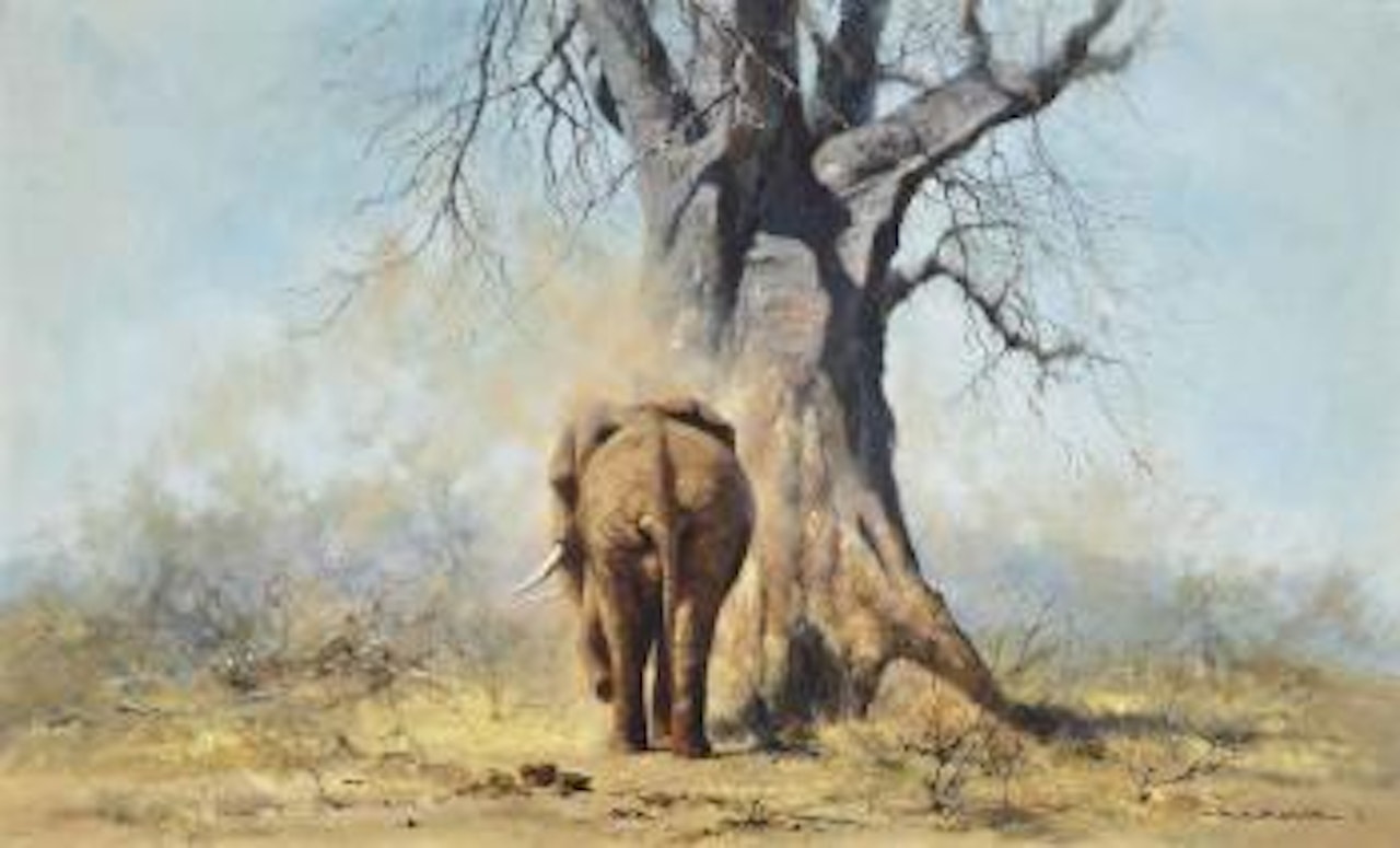 The Lone Bull by David Shepherd