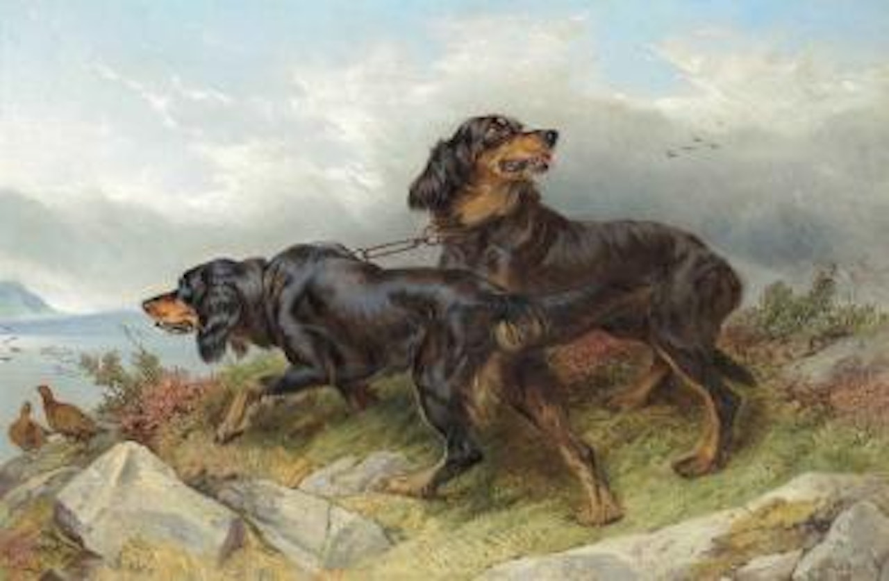 Setters by Richard Ansdell