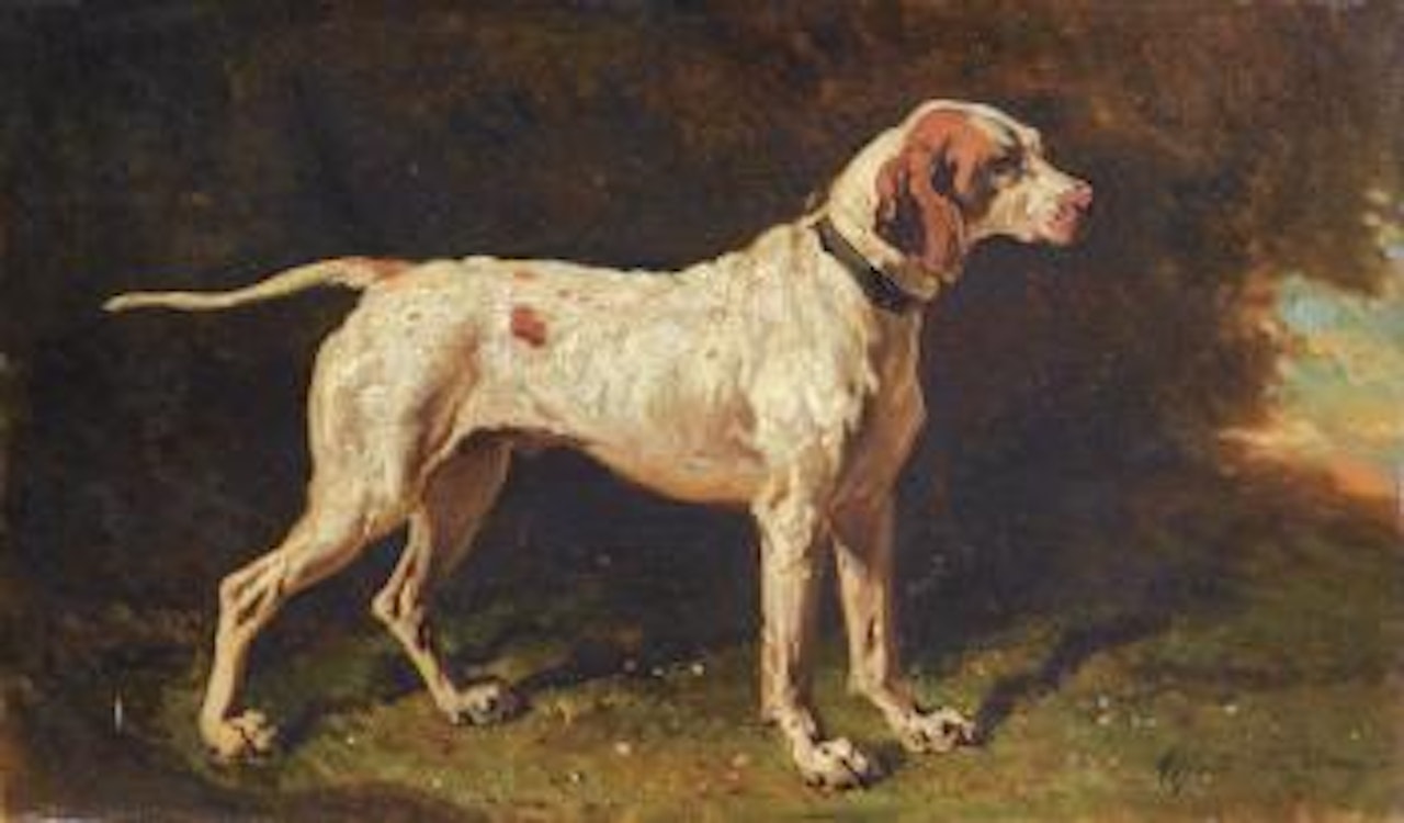 Chien À L'arrêt by Alfred de Dreux