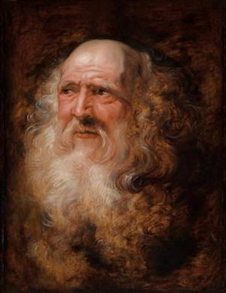 Study of an old man by Peter Paul Rubens