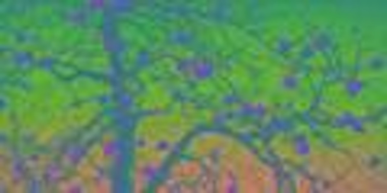 Persimmon by Oh ChiGyun