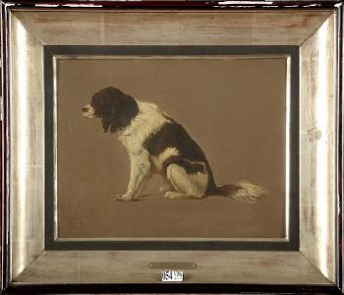 Etude d’un chien assis by Eugène Joseph Verboeckhoven