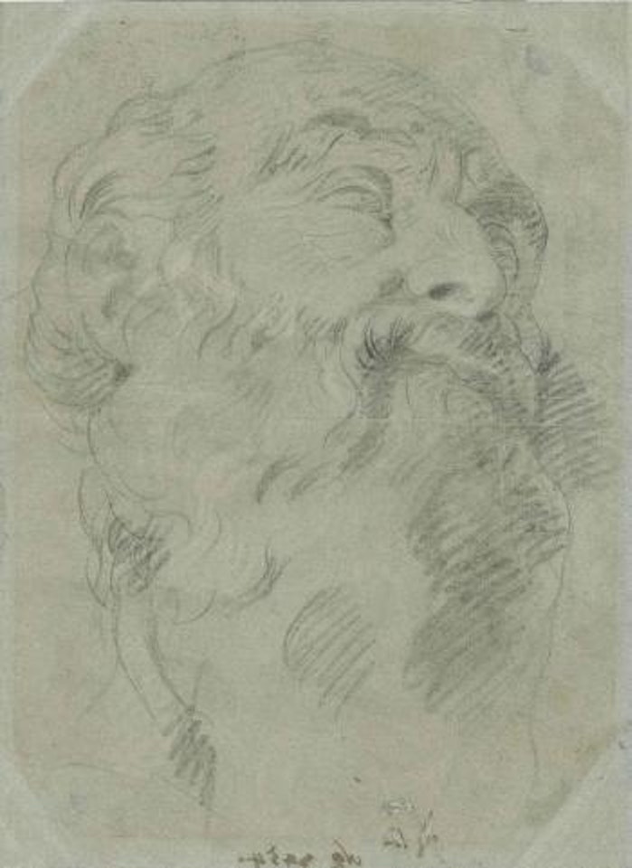 Head of a bearded man looking up, to the right by Giovanni Domenico Tiepolo