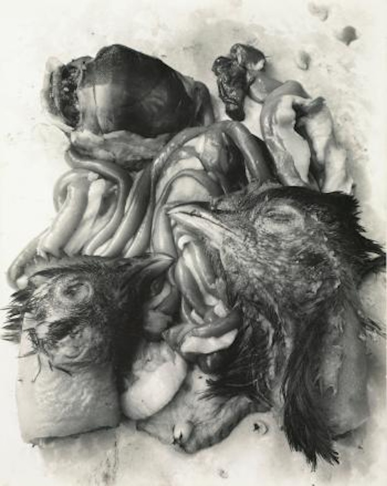 Duck Entrails, Chicken Heads by Frederick Sommer