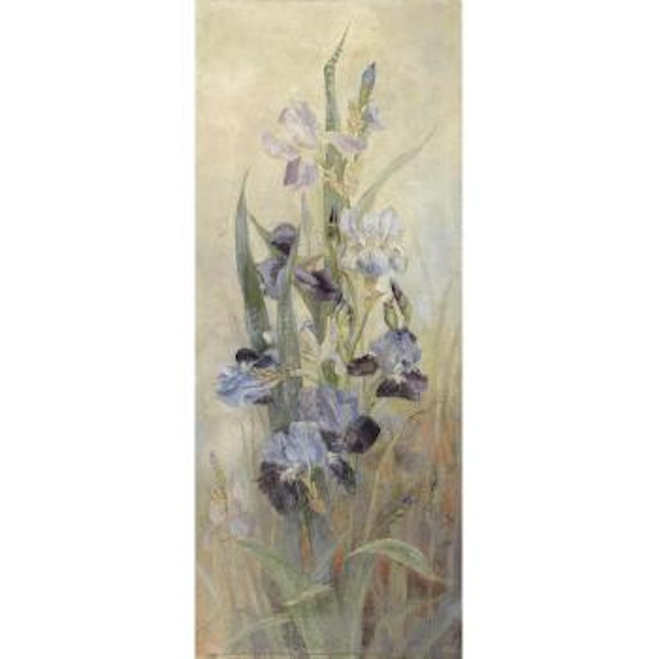 Irises by English School