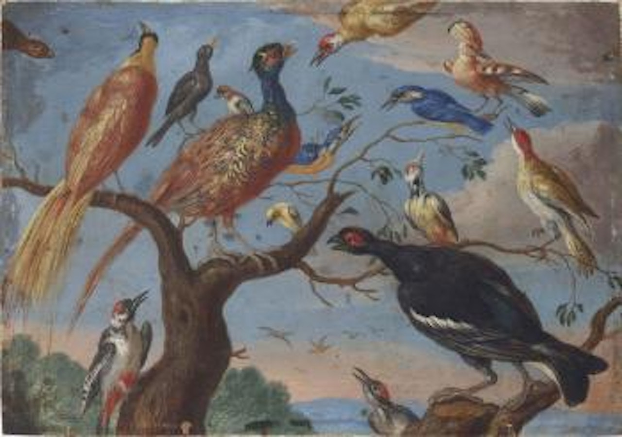 A concert of birds by Jan Van Kessel The Elder