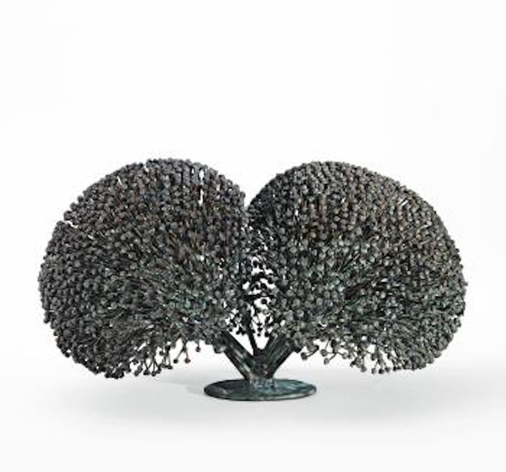 Bush by Harry Bertoia