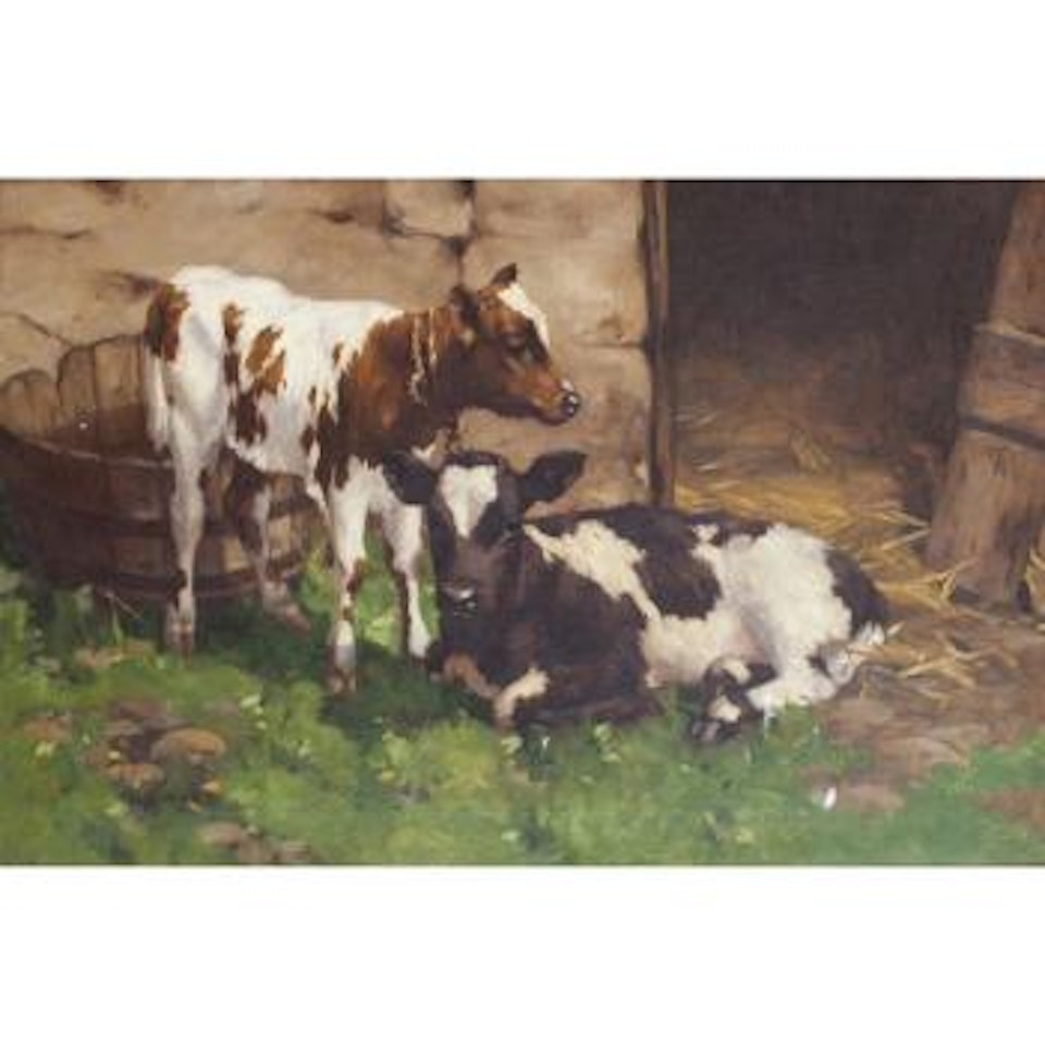 Calves Outside a Byre by David Gauld