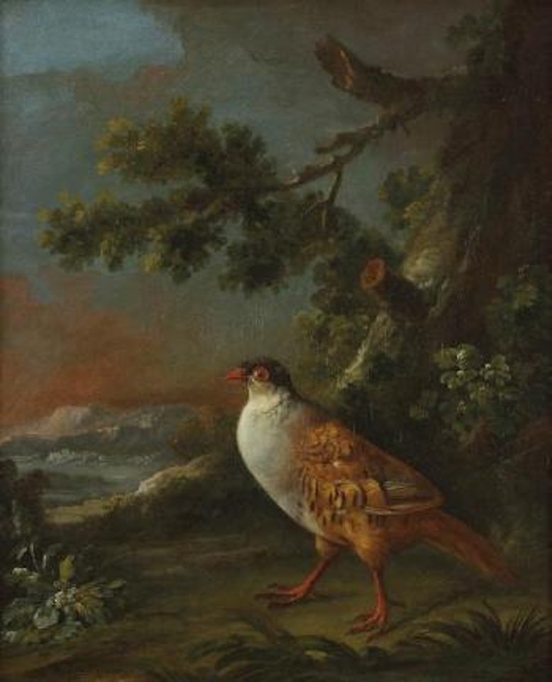 Un perdreau dans un paysage by Jean Jacques Bachelier