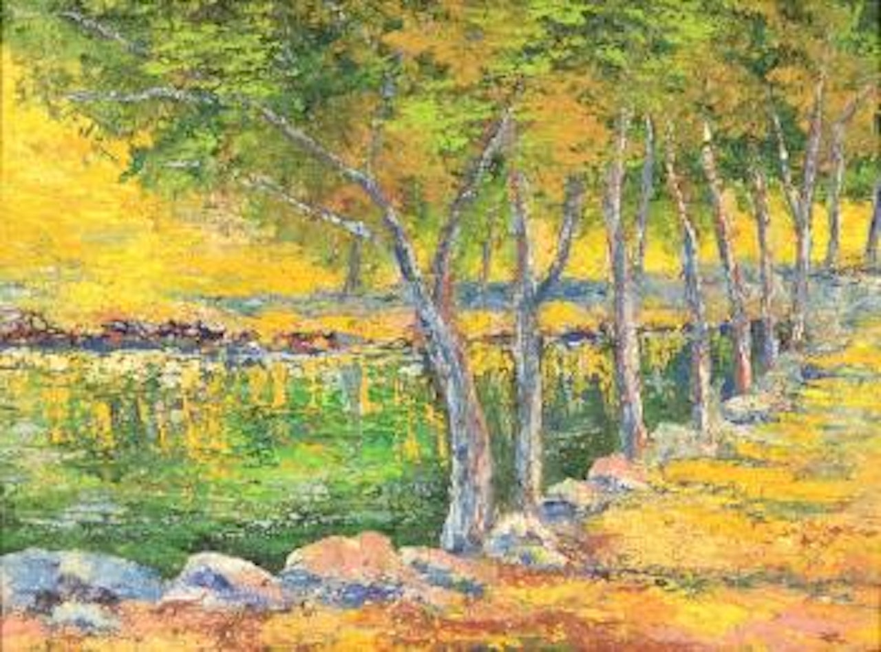 Untitled landscape by Joaquín Clausell