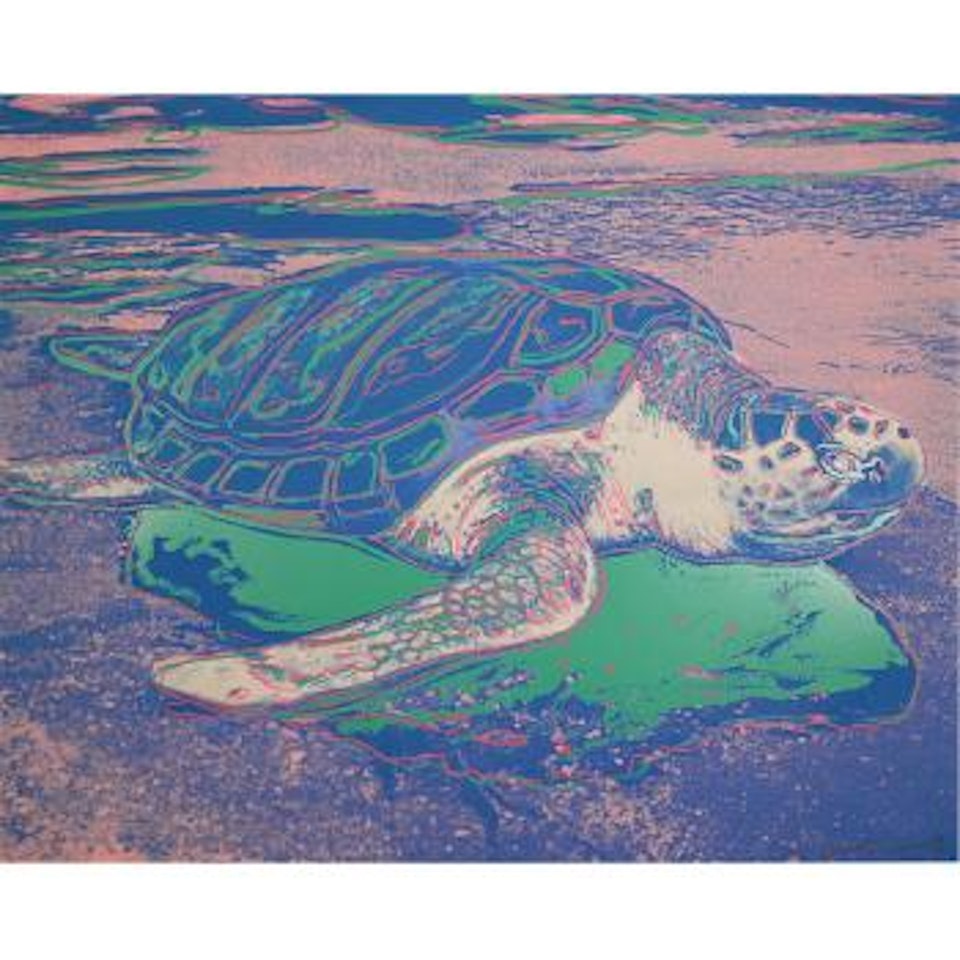 Turtle (F./S. II.360A) by Andy Warhol