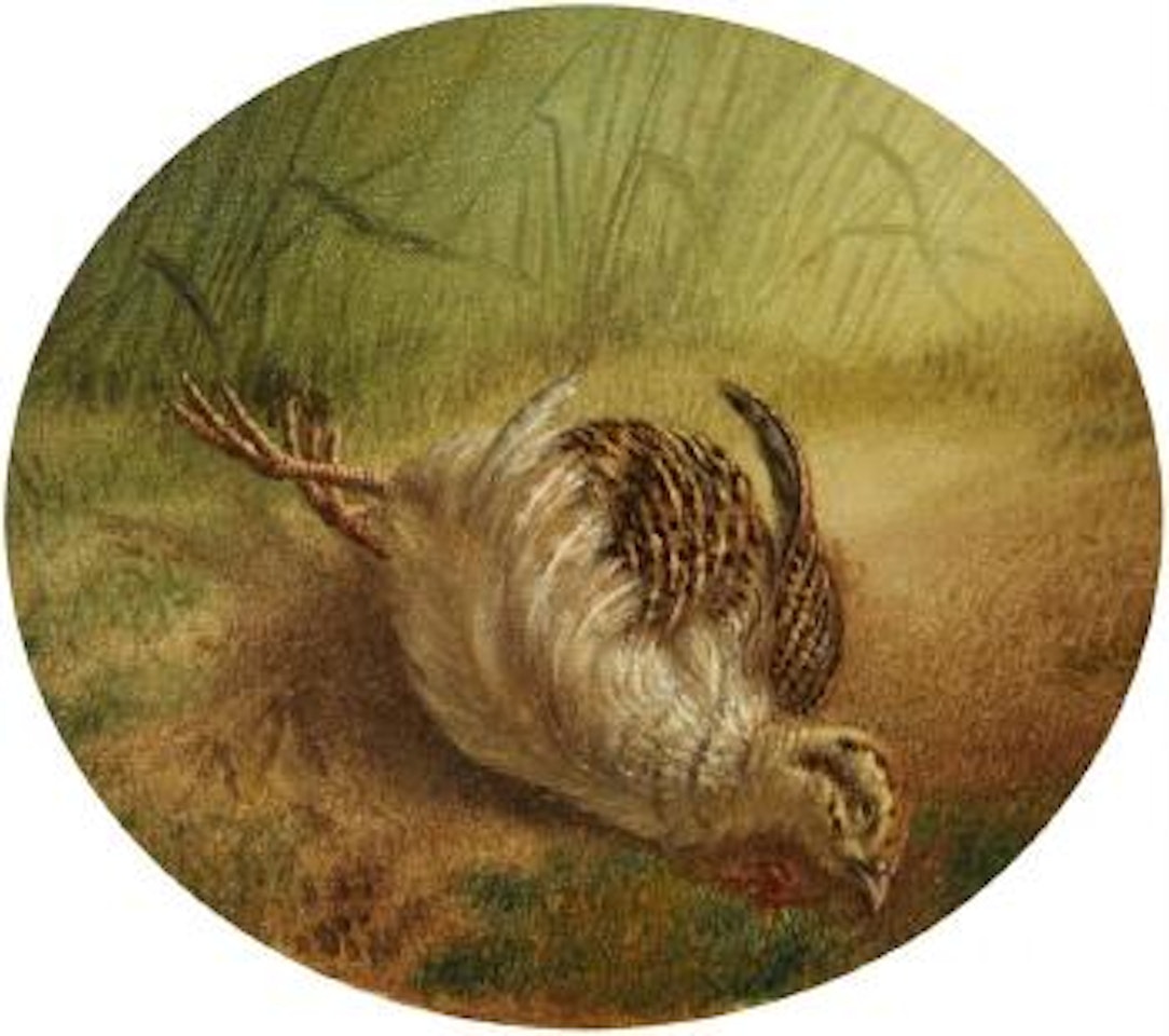 Still Life with Grouse by Heinrich von Zugel