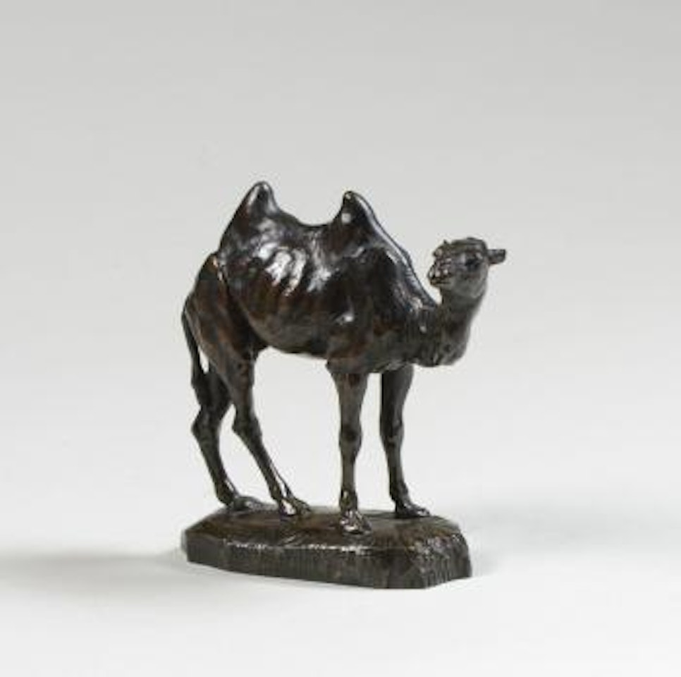 Petit chameau de Perse by Antoine-Louis Barye