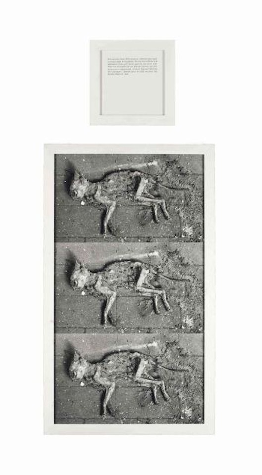 Les chats by Sophie Calle