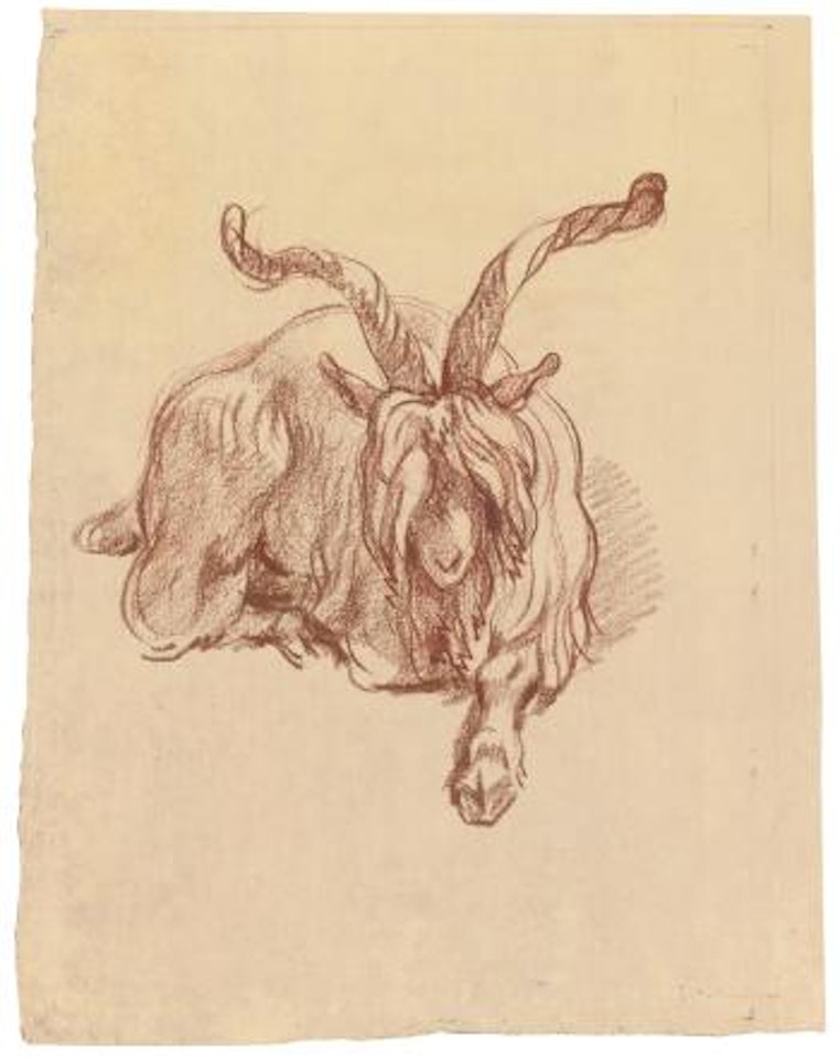 Study of a resting goat by Jean-Baptiste Greuze