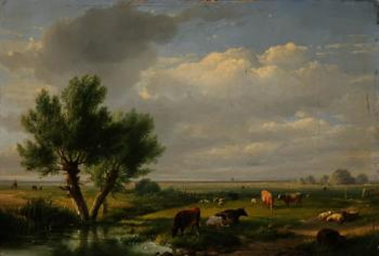 Cows and Sheep in the Fields by Eugène Joseph Verboeckhoven
