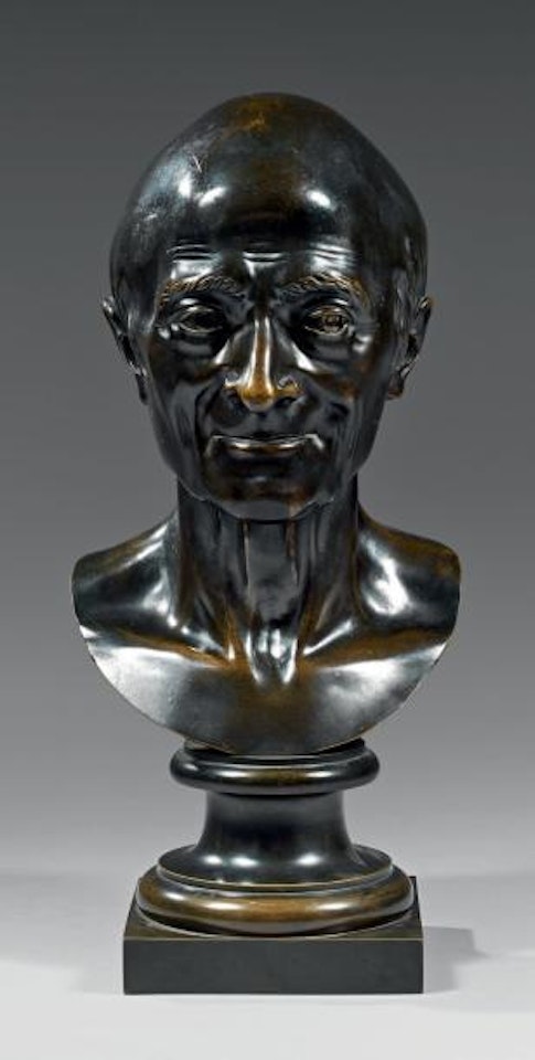 Buste de Voltaire by Jean-Antoine Houdon