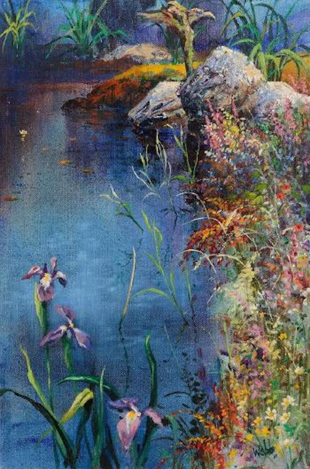 Ballinaboy Garden, Connemara by Kenneth Webb