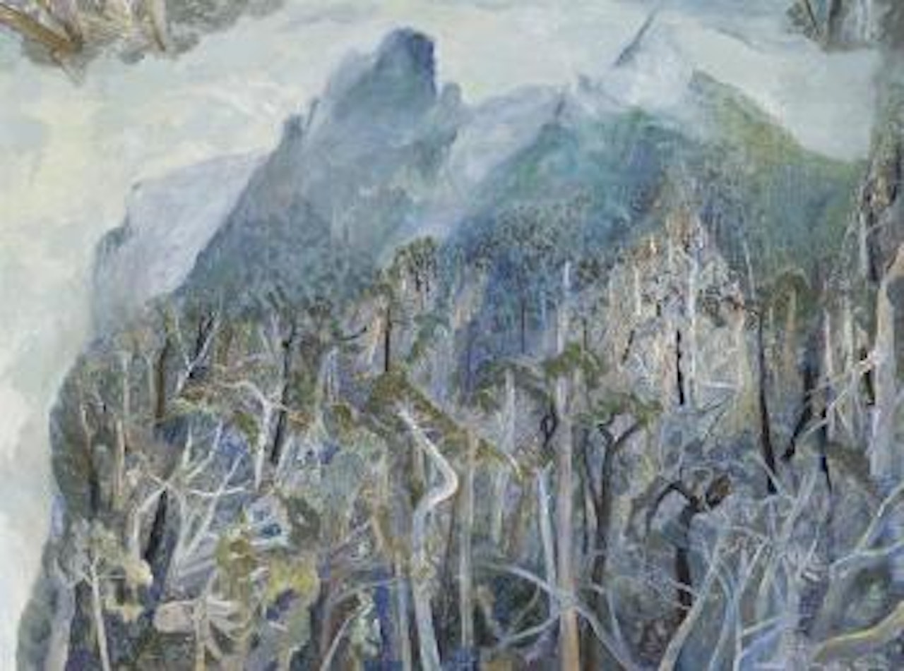 Nimbin rocks in fog by William Francis Robinson