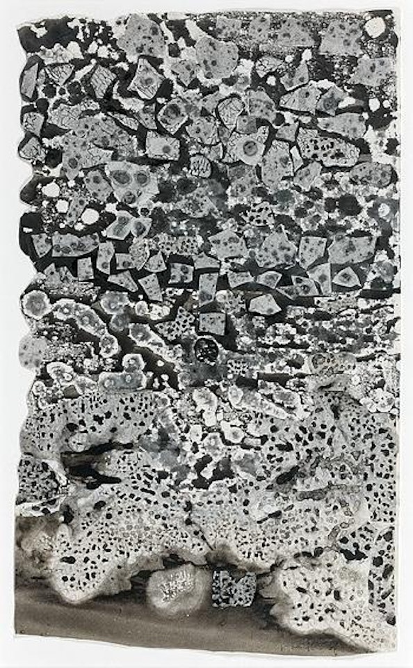 Assemblage d'empreintes by Jean Dubuffet