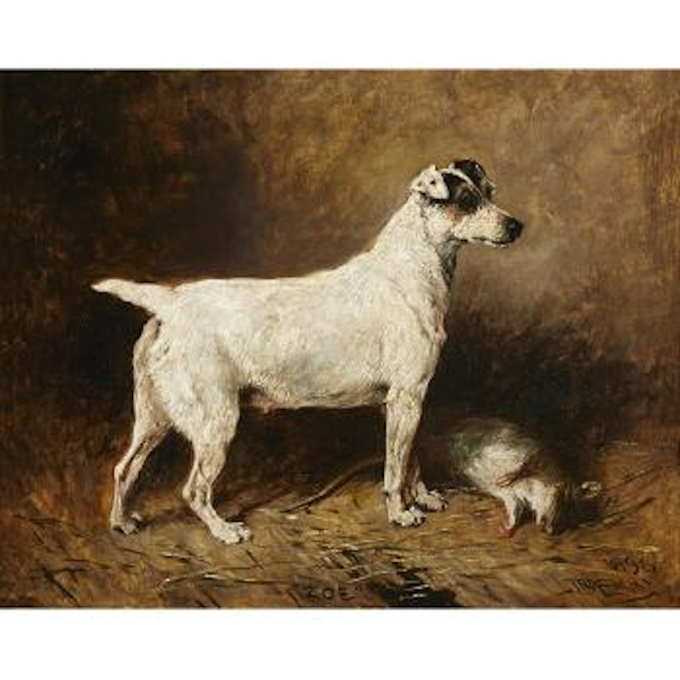 Zoe, A Fox Terrier by John Emms