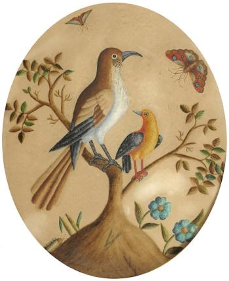 Study of birds on a branch with butterflies, caterpillars and flowers by Samuel Dixon