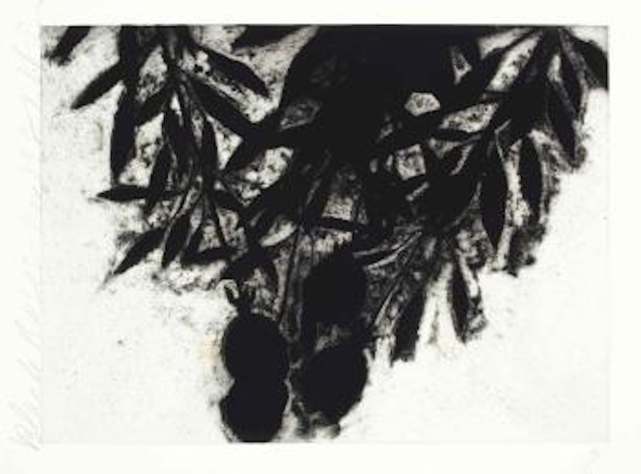 Black Roses by Donald Sultan