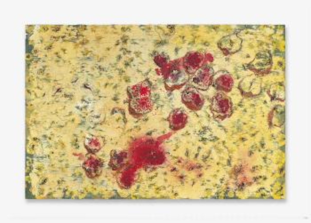 Fruits de novembre (Fruits of November) by Miquel Barcelo