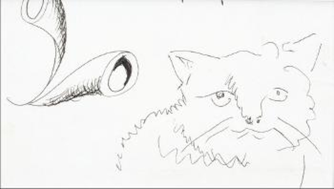 Cat by David Hockney