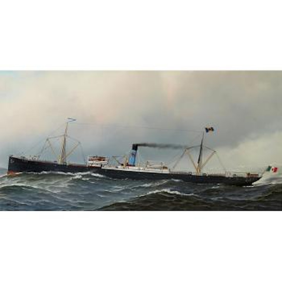 The S.S. Cerea at sea by Antonio Jacobsen