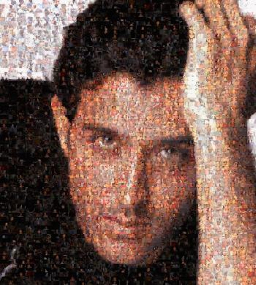 Ommatidia I (Hrithik Roshan) by Rashid Rana
