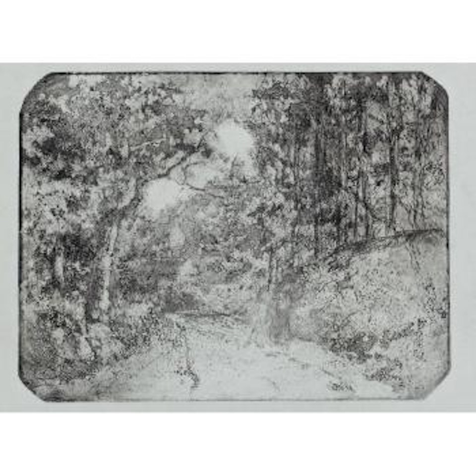 Chemin sous bois, à Pontoise by Camille Pissarro