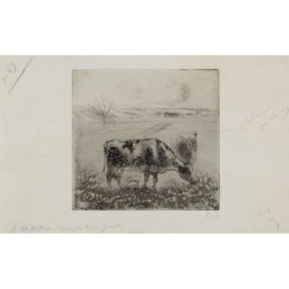 La vache by Camille Pissarro