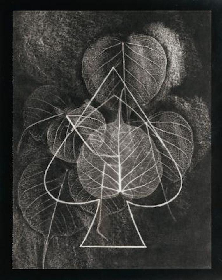 Photogramme pour le château étoilé d'Andre Breton..découpé dans l'aile des cigales (variante) by Max Ernst by Man Ray