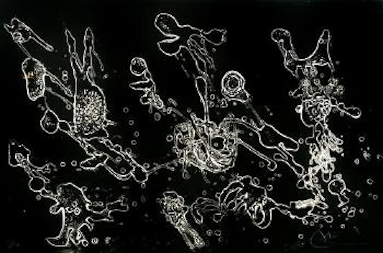 Plate Five by Joan Miró