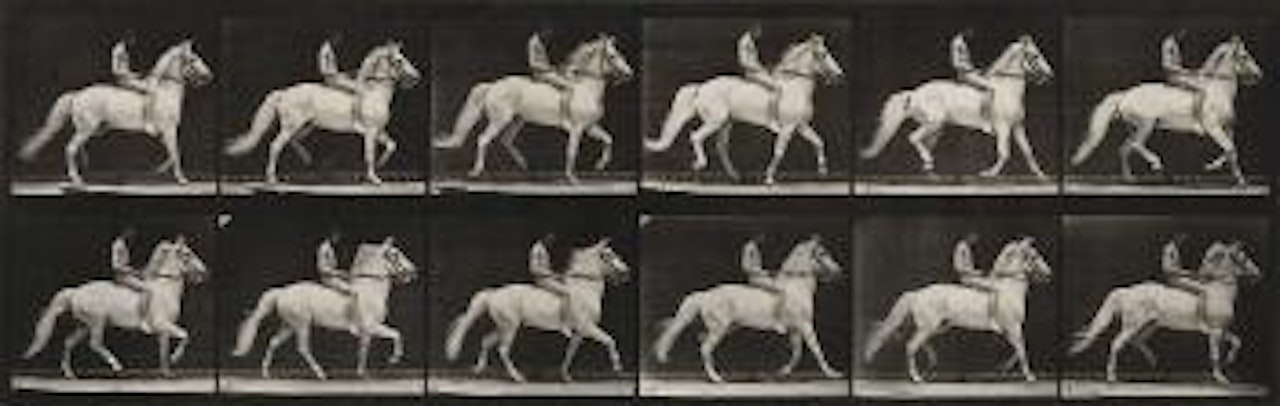 Man riding a horse by Eadweard Muybridge