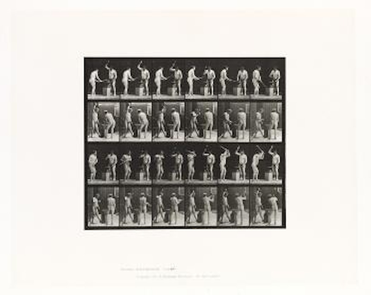 Nude men swinging hammers by Eadweard Muybridge