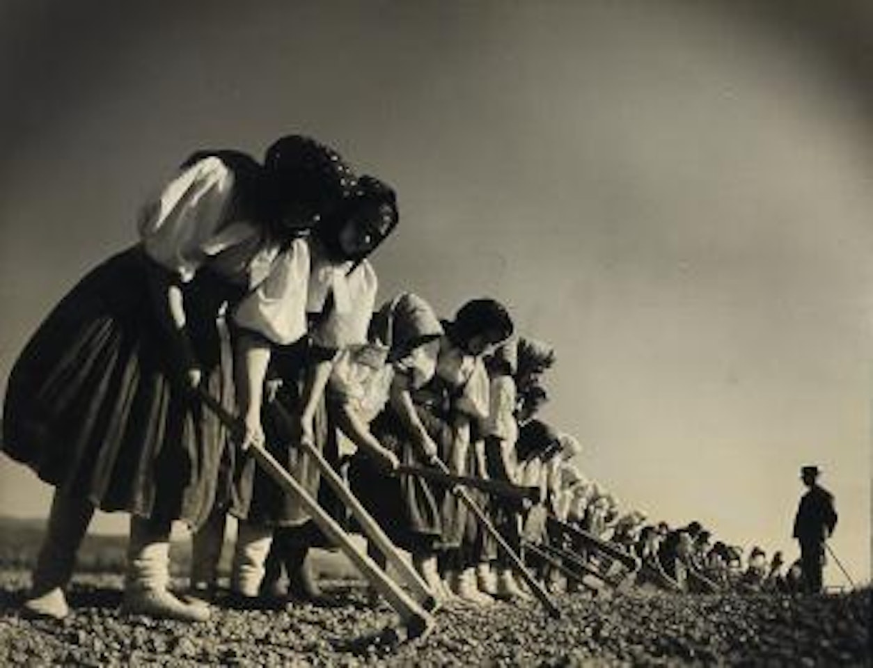 Girls and sugar beets, Kostolna, Slovakia by Margaret Bourke-White