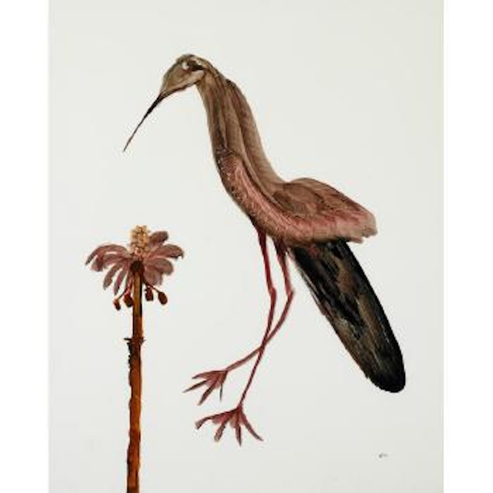 Bird by Sidney Nolan