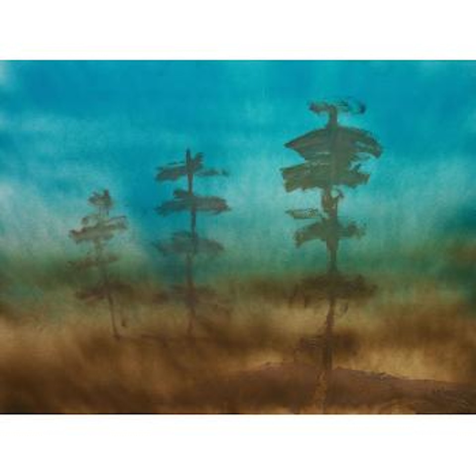 Pines and Mist by Sidney Nolan