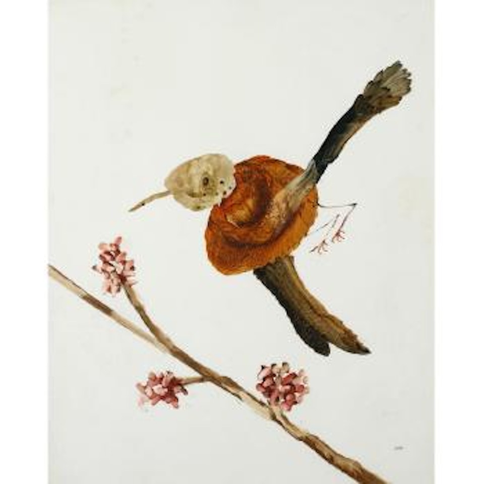 Bird by Sidney Nolan